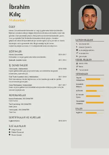 Muhasebeci Cv Örnekleri cv indir